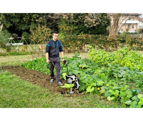 Grillo Motoazada G Z2