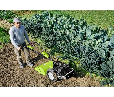 Grillo Motocultor G46