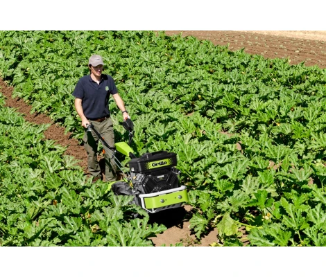 Grillo Motocultor G 131 BC