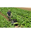 Grillo Motocultor G 131 BC