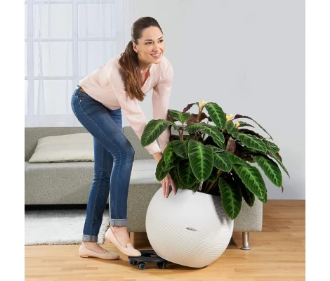 Lechuza Soporte Ruedas Para Classico 43 / Quadro 43