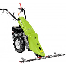 Grillo Motosegadora GF 2