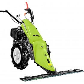 Grillo Motosegadora GF 3