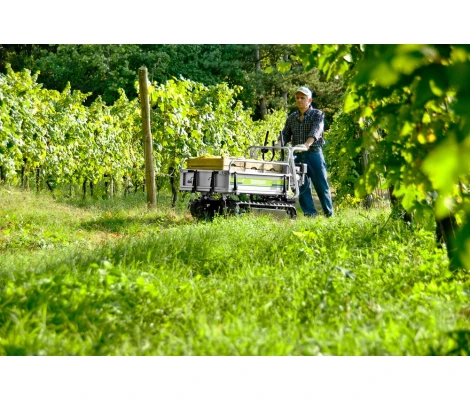 Grillo Carretilla De Oruga Dumper 406