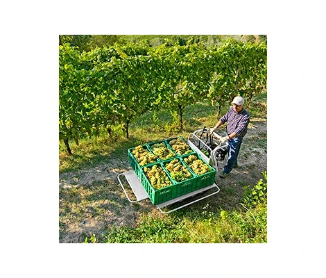 Grillo Carretilla De Oruga Dumper 406