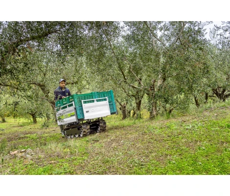 Grillo Carretilla De Oruga Dumper 507