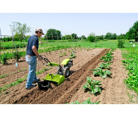 Grillo Motocultor G55