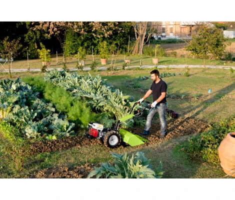 Grillo Motocultor G 84