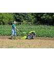 Grillo Motocultor G107d