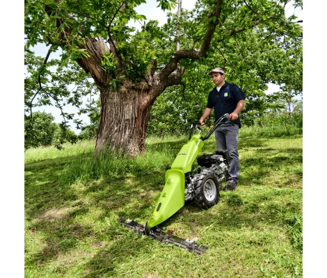 Grillo Motosegadora GF 2