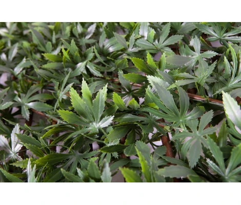 Catral Celosía Extensible Arce Verde