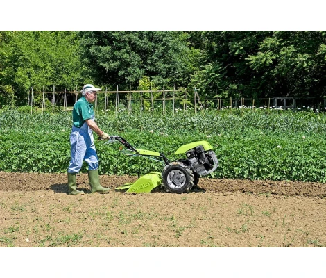 Grillo Motocultor G85d