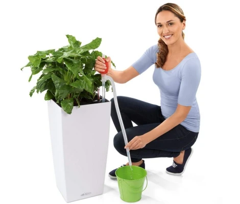 Lechuza Bomba De Mano