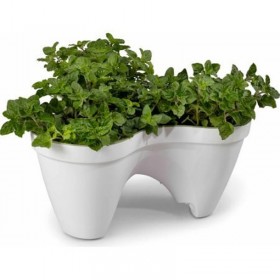 Keter Ivy Planter 41 x 38 x 19 cm