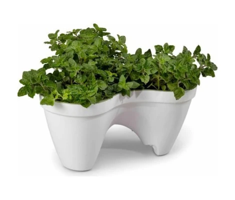 Keter Ivy Planter 41 x 38 x 19 cm
