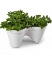 Keter Ivy Planter 41 x 38 x 19 cm