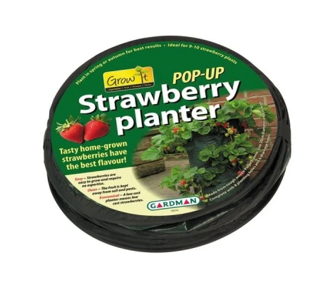 Gardman Jardinera De Fresas Emergente