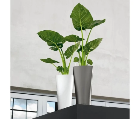 Lechuza Maceta Autorriego Delta Premium 40 Kit Completo