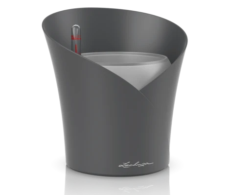 Lechuza Florero Orchidea Ø 12cm