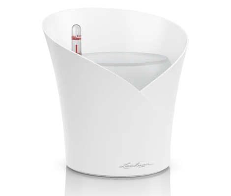 Lechuza Florero Orchidea Ø 12cm