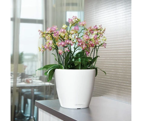 Lechuza Maceta Autorriego Classico Premium 21 LS