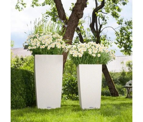 Lechuza Maceta Autorriego Cubico Cottage 30