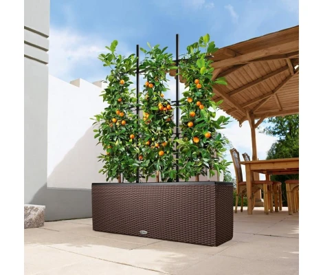 Lechuza Maceta Trio Cottage 30