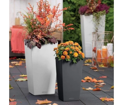 Lechuza Maceta Autorriego Cubico Color 40