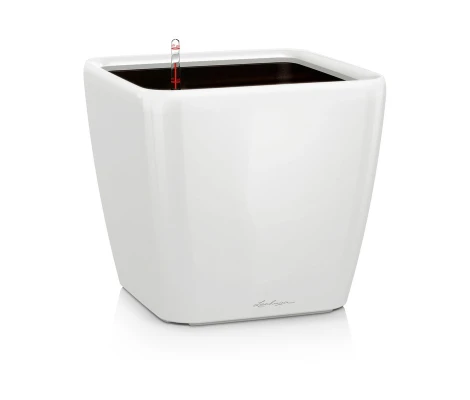 Lechuza Maceta Quadro Premium LS 21