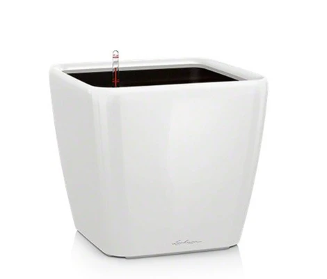 Lechuza Maceta Quadro Premium LS 35