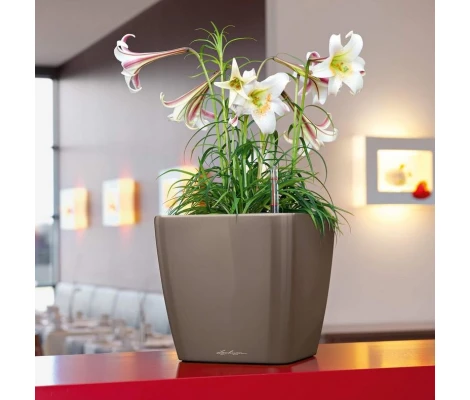 Lechuza Maceta Quadro Premium LS 35