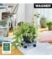 Waner Soporte Con Ruedas Para Plantas Creo Ø 29 cm