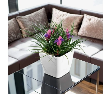 Lechuza Maceta Autorriego Quadro Premium LS 28