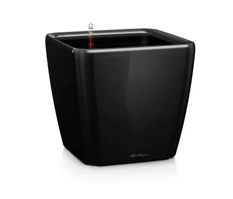 Lechuza Maceta Autorriego Quadro Premium LS 43
