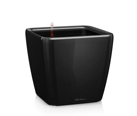 Lechuza Maceta Quadro Premium LS 50