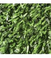 Seto Artificial 110 Varillas Hoja Ancha Varias Medidas