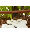 Aqua Control Tubería De Goteo Marrón 25m