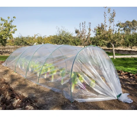 Catral Túnel Invernadero 1,2x4 m