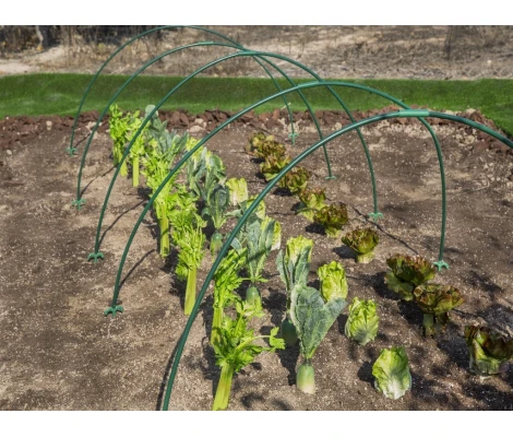 Catral Túnel Invernadero 1,2x4 m