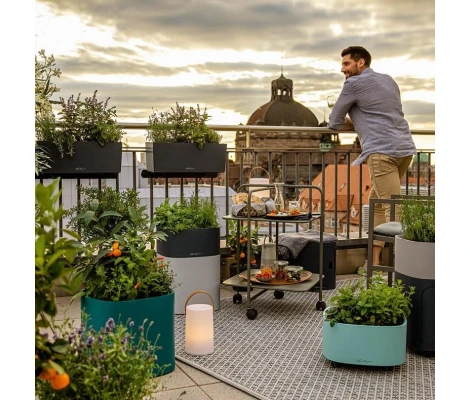 Lechuza Set Completo PILA Color Planter