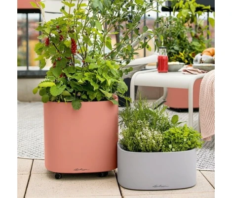 Lechuza PILA Coaster Soporte Con Ruedas