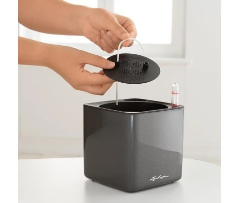 Lechuza Plato De Plantado