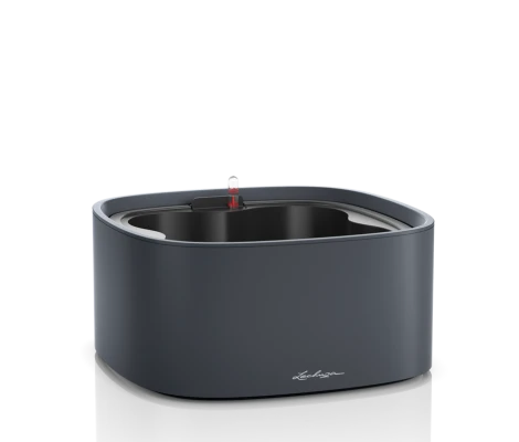 Lechuza Set Completo PILA Color Stick