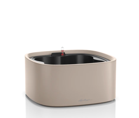 Lechuza Set Completo PILA Color Stick