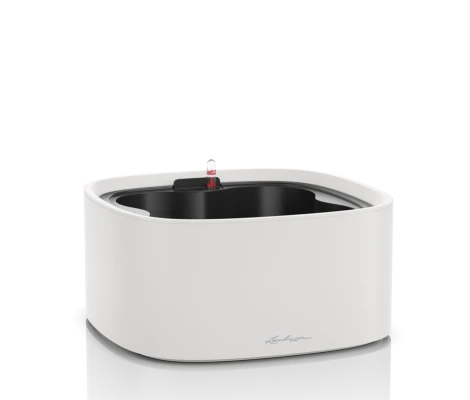 Lechuza Set Completo PILA Color Stick