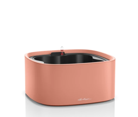 Lechuza Set Completo PILA Color Stick