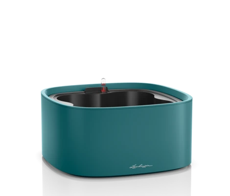 Lechuza Set Completo PILA Color Stick