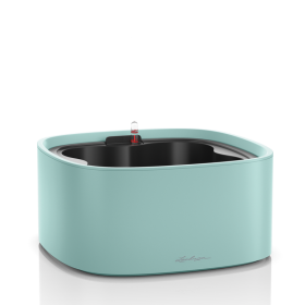 Lechuza Set Completo PILA Color Stick