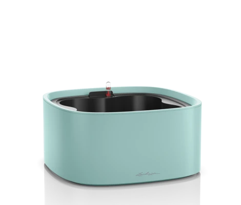 Lechuza Set Completo PILA Color Stick