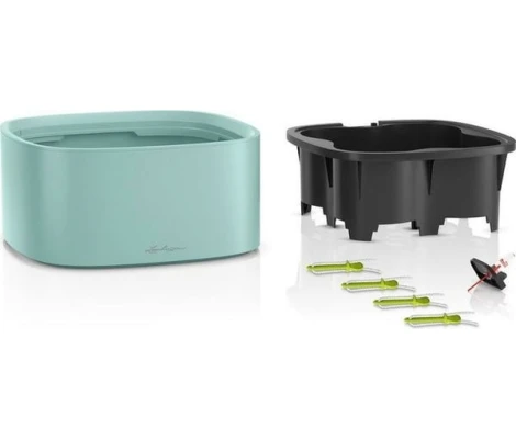 Lechuza Set Completo PILA Color Stick